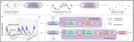 MCFormer: A Transformer-Based Detector for Molecular Communication with Accelerated Particle-Based Solution